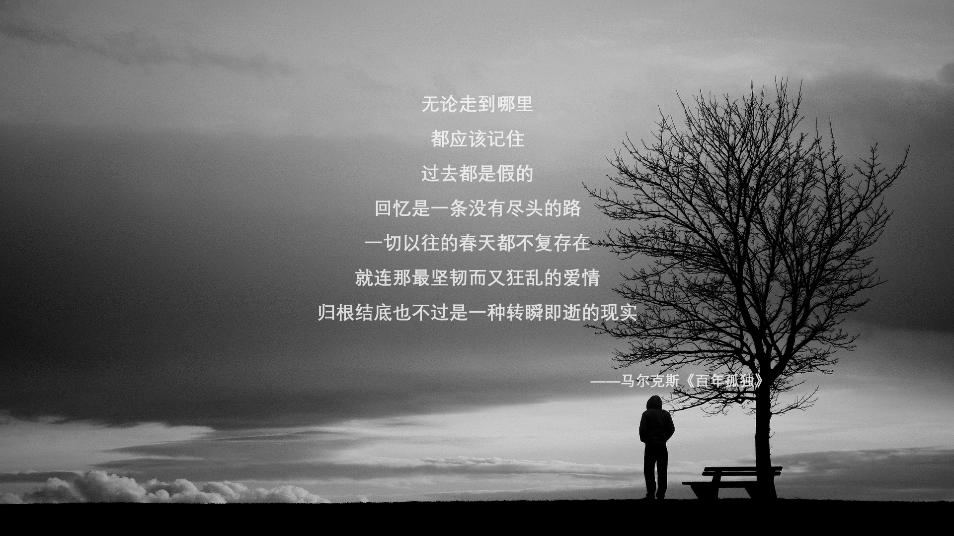 体育新闻内容偏差与真实性审查机制研究，体育新闻的四个要素和要求